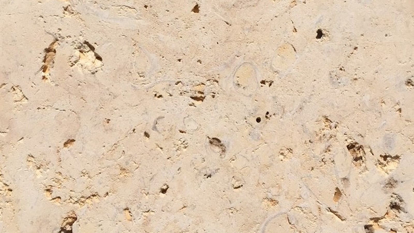 Western Ivory Alamo Stone